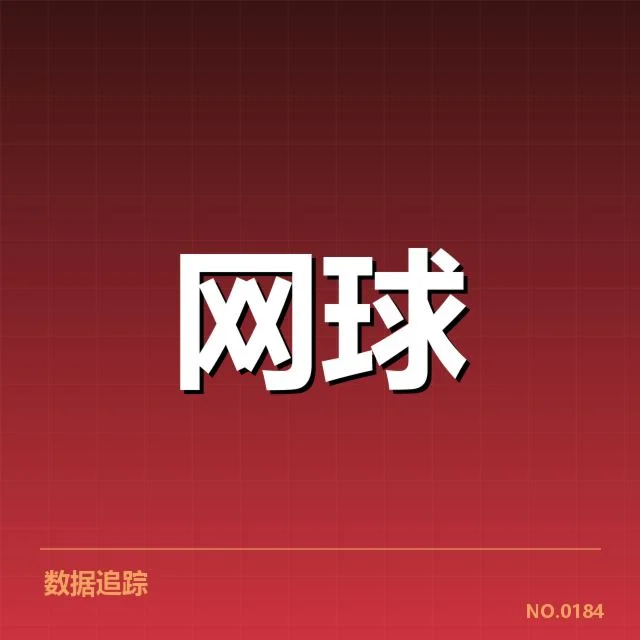 确认的赛事参与与成绩表现
